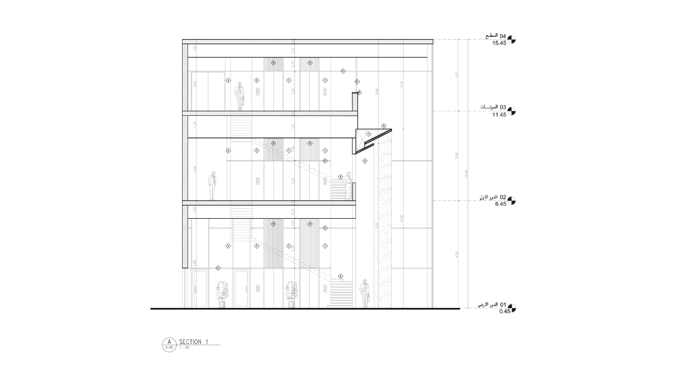 Section 01